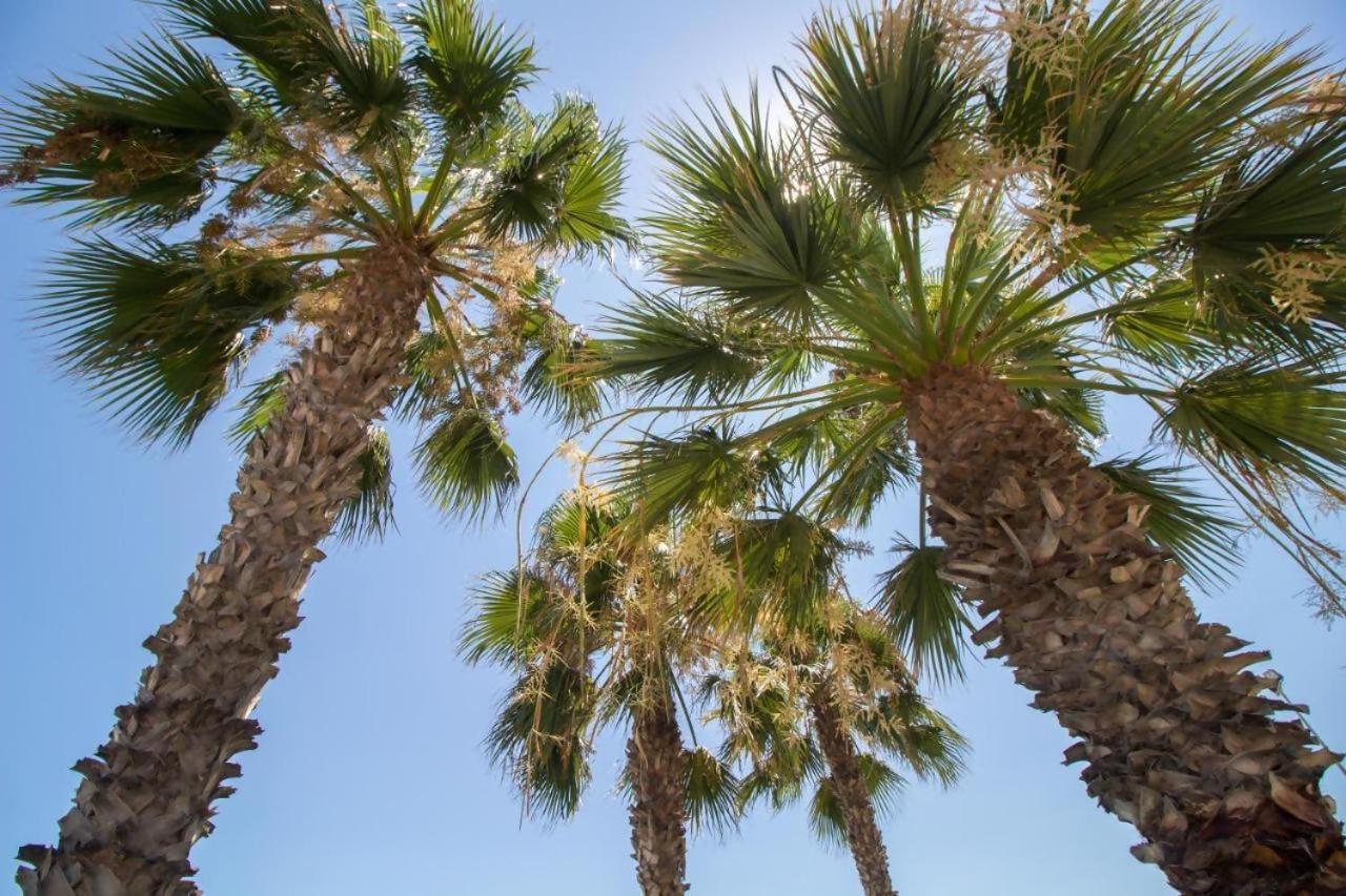 Fabuloso Apartamento A 50M De Playa Centrico Torre Del Mar Bagian luar foto